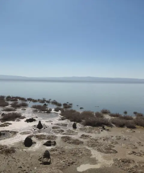 تالاب کجی نمکزار، خراسان جنوبی