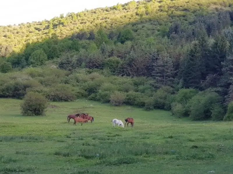 روستای جواهرده - تصویر 11