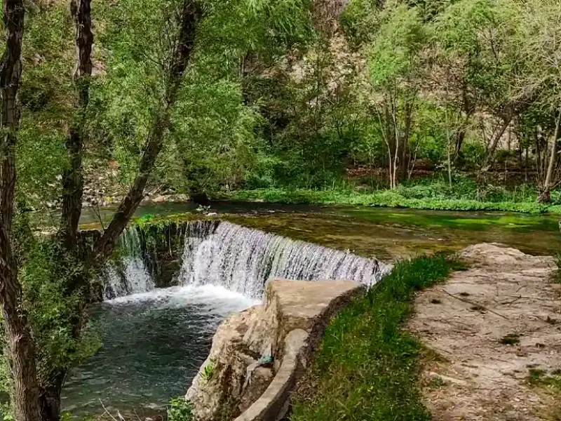 روستای سفیدبرگ - تصویر 3