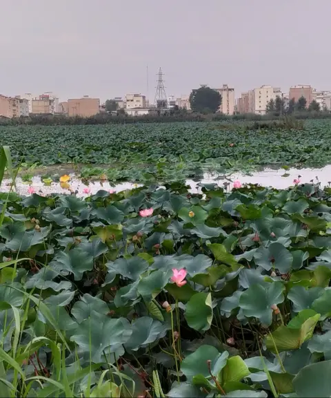 تالاب حیدر‌کلا، مازندران