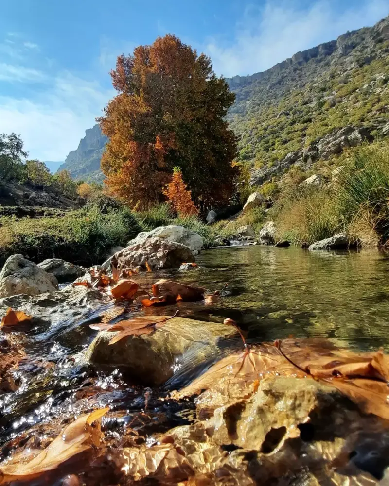 سراب کاشنبه - تصویر 4