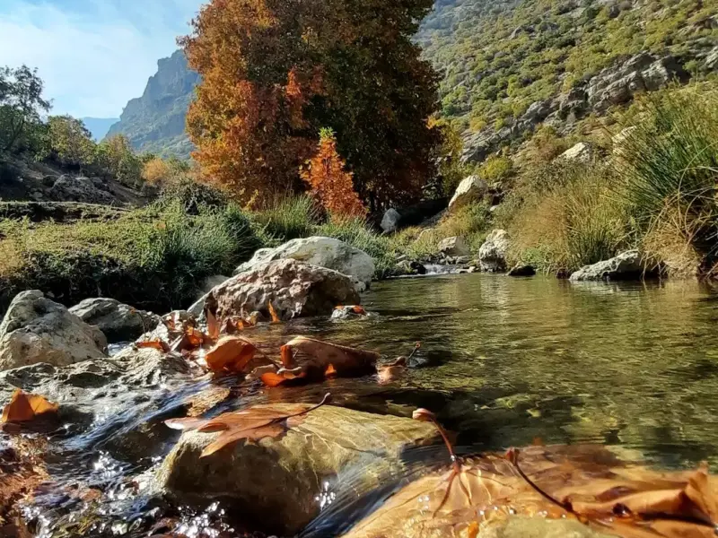 سراب کاشنبه - تصویر 4