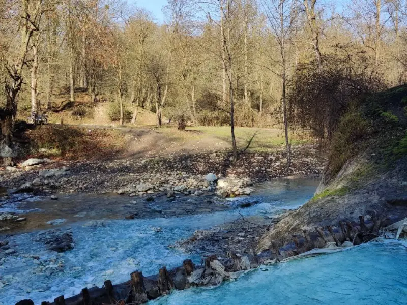 جنگل بلیران - تصویر 14