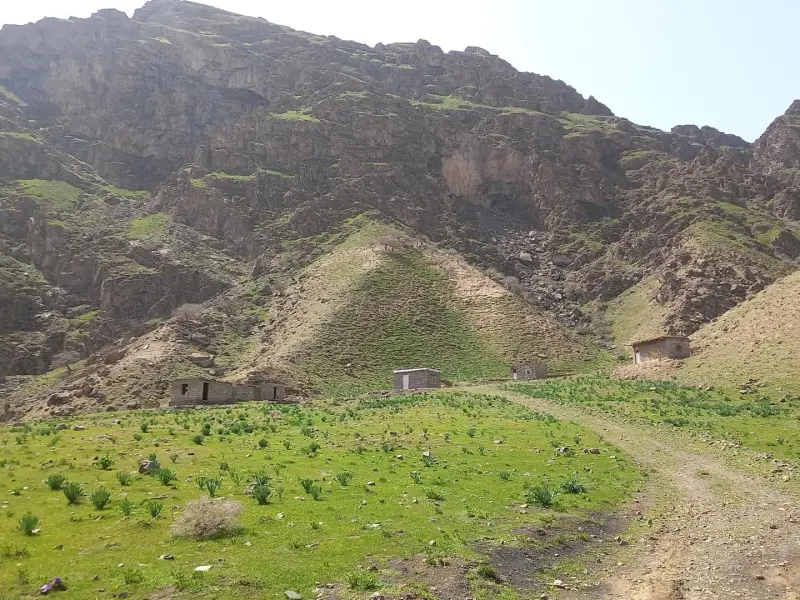 منطقه حفاظت شده تخت سلطان