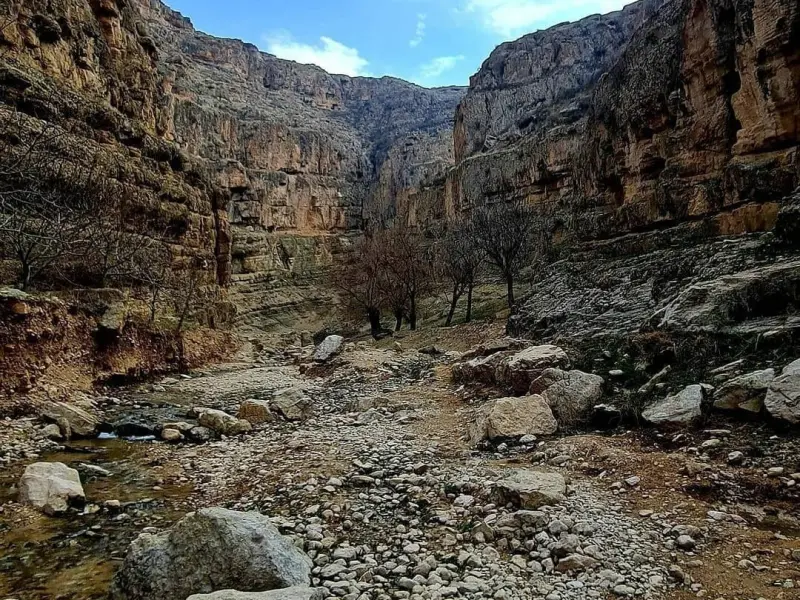 آبشار حمید - تصویر 5