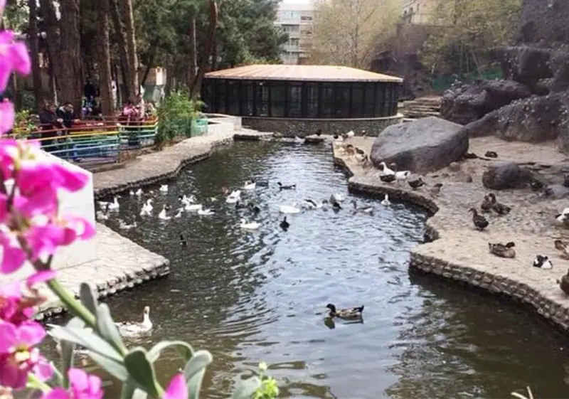 پارک ساعی - تصویر 10