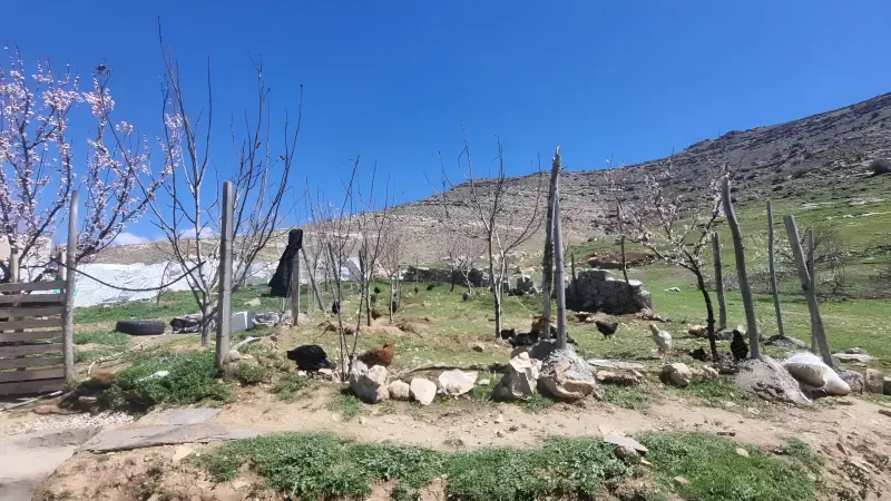 روستای قلعه هرسم - تصویر 2