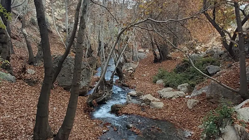 تنگ غوره دان - تصویر 2