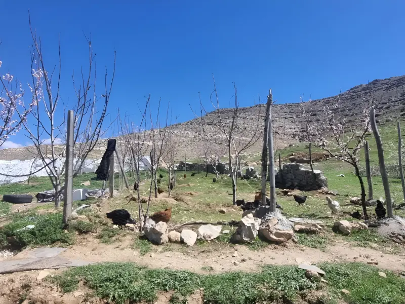 روستای قلعه هرسم - تصویر 2