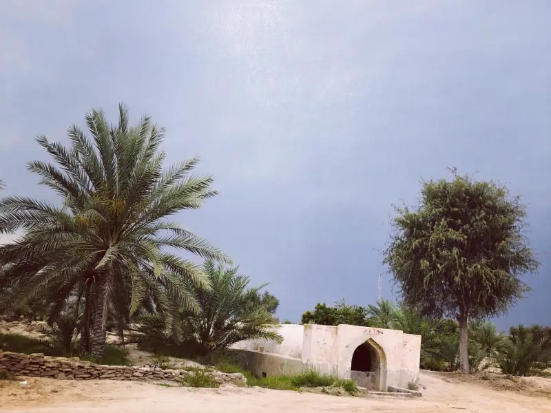 روستای گیاهدان - تصویر 1