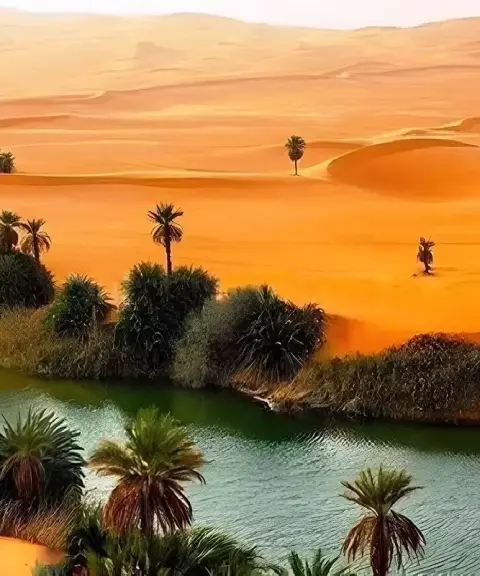 کویر زردگاه، خراسان جنوبی