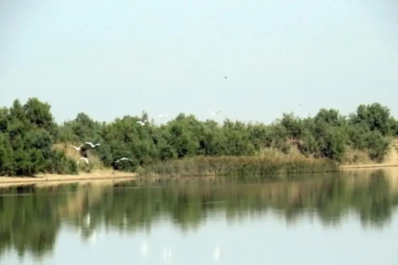 تالاب آق زیارت - تصویر 1