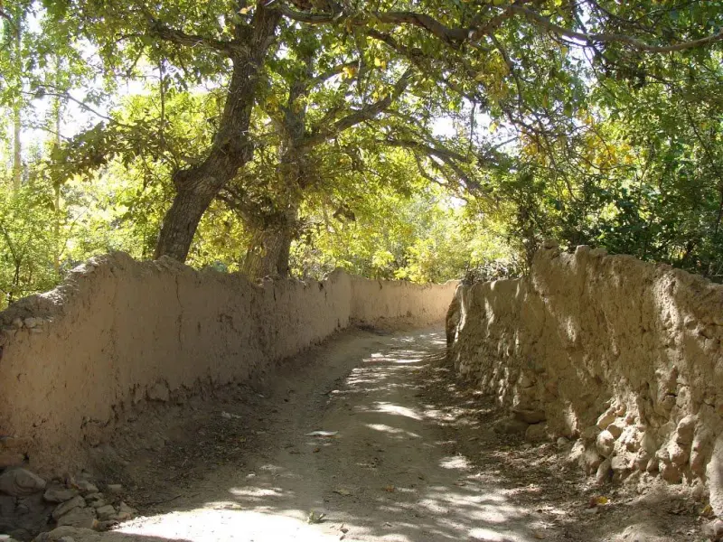 روستای ورده - تصویر 1