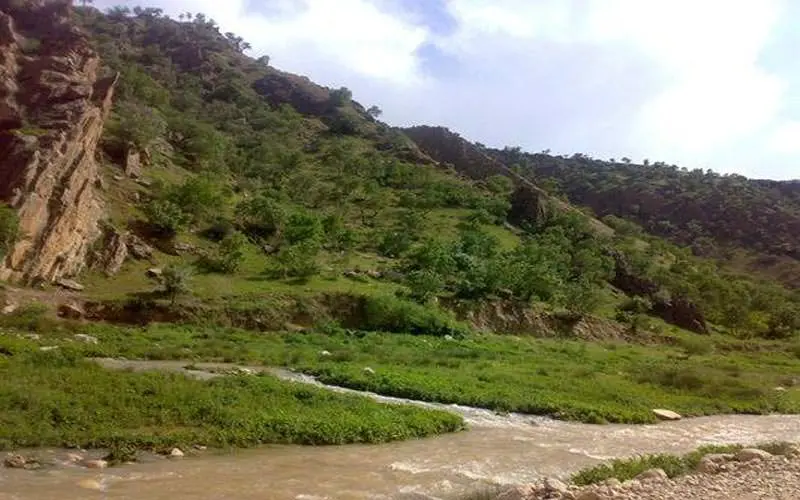 ناوتنگ منصوری - تصویر 3