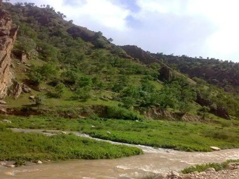 ناوتنگ منصوری - تصویر 3