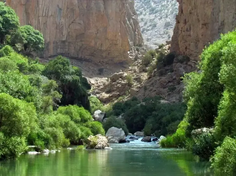 تنگ دم اسب - تصویر 3