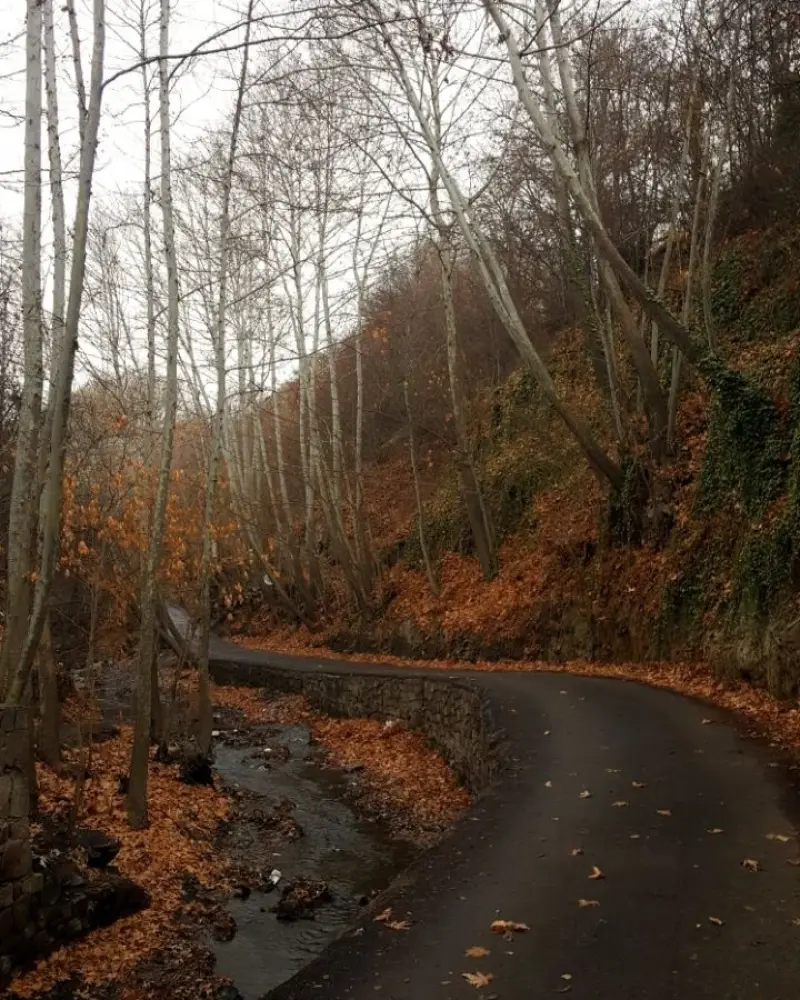 روستای خادر - تصویر 6