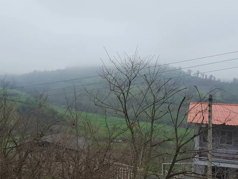 روستای الیرد - تصویر 1