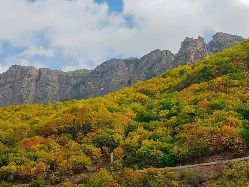 روستای سیاه بیشه - تصویر 5