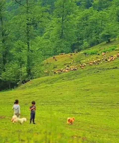 منطقه حفاظت‌شده خیبوس و انجیل‌سی، مازندران