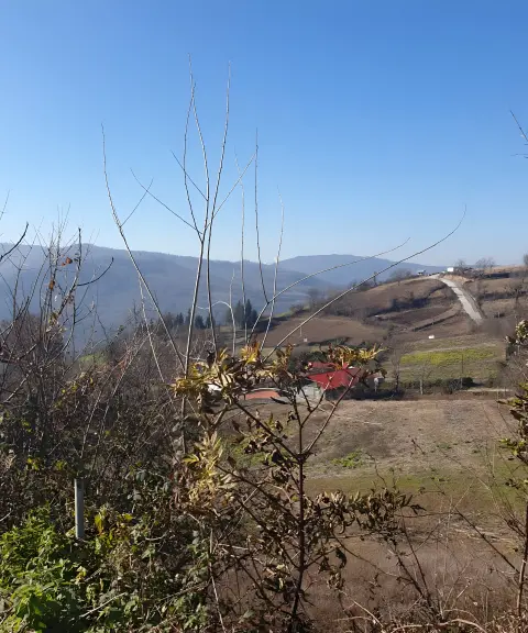 روستای سرکت، مازندران