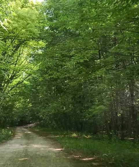 پارک جنگلی سرما، مازندران