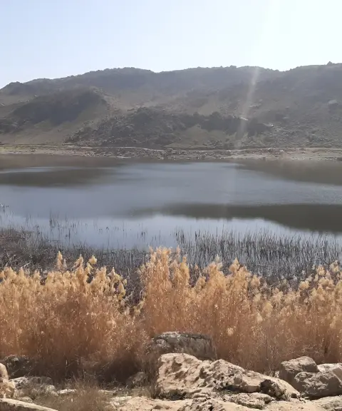 تالاب زردابه، لرستان