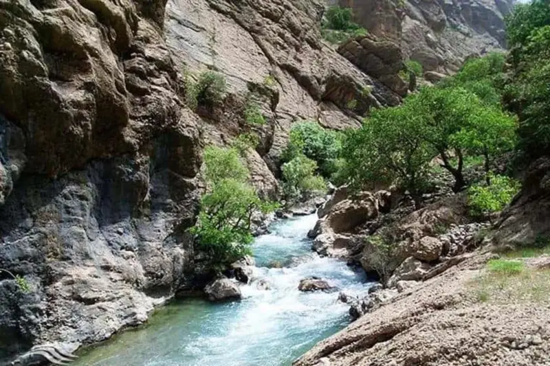 دره نی‌گاه - تصویر 9