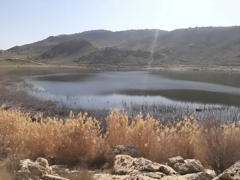 تالاب زردابه