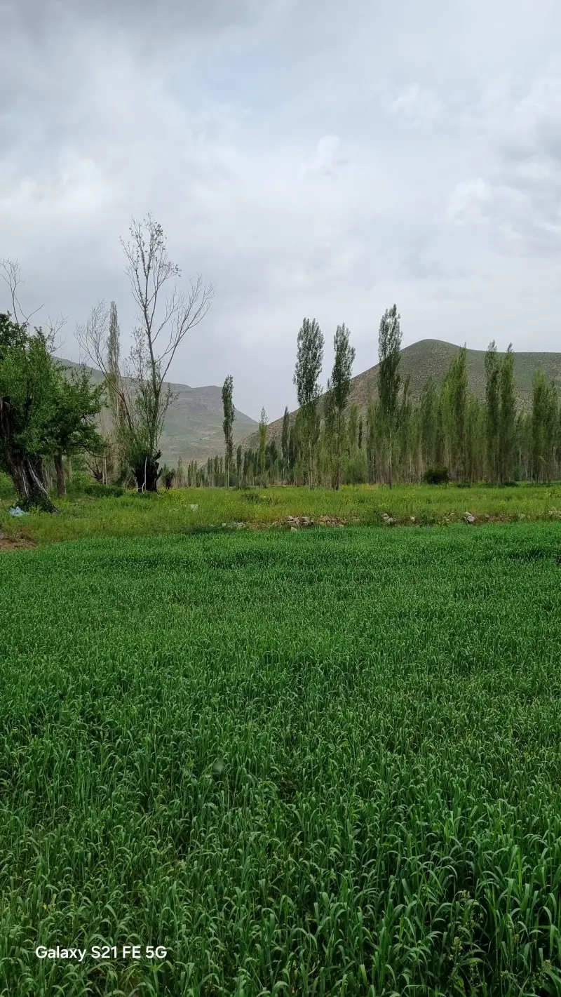 روستای خرکت - تصویر 3