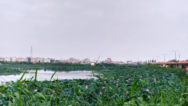 تالاب حیدر‌کلا - تصویر 4