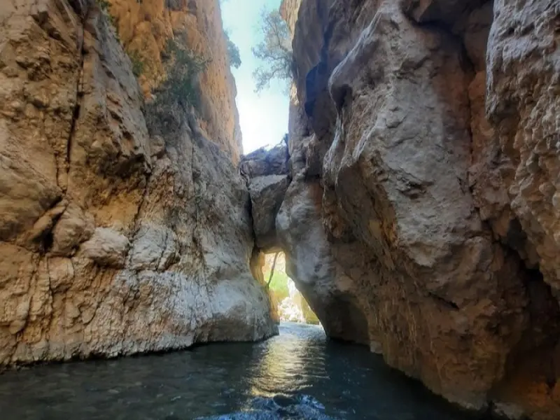 تنگ دم اسب - تصویر 4