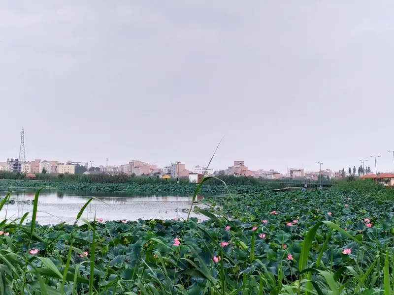 تالاب حیدر‌کلا - تصویر 4