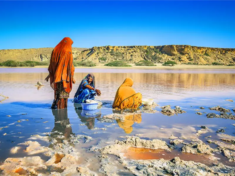 تالاب لیپار - تصویر 2