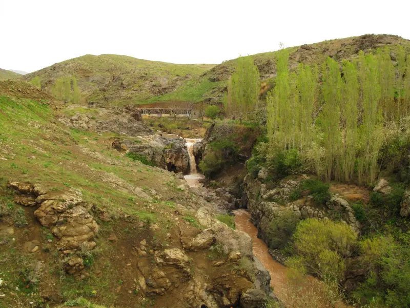بوستان جنگلی باراجین - تصویر 6