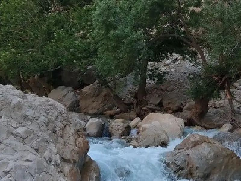 تنگ تهی - تصویر 7