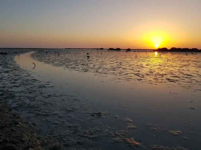 منطقه حفاظت‌شده گابریک و جاسک - تصویر 1