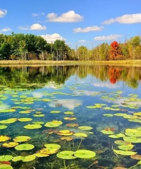 تالاب انزلی، گیلان