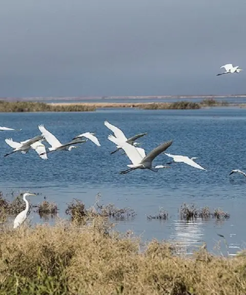 تالاب پته خور، اردبیل