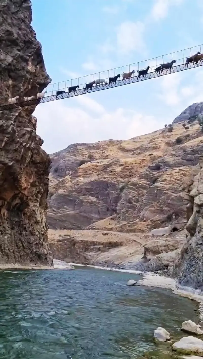 رودخانه سزار - تصویر 4