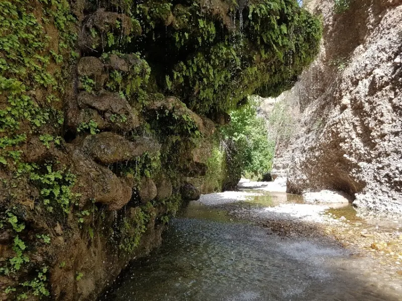 دره پل‌پرزین - تصویر 2