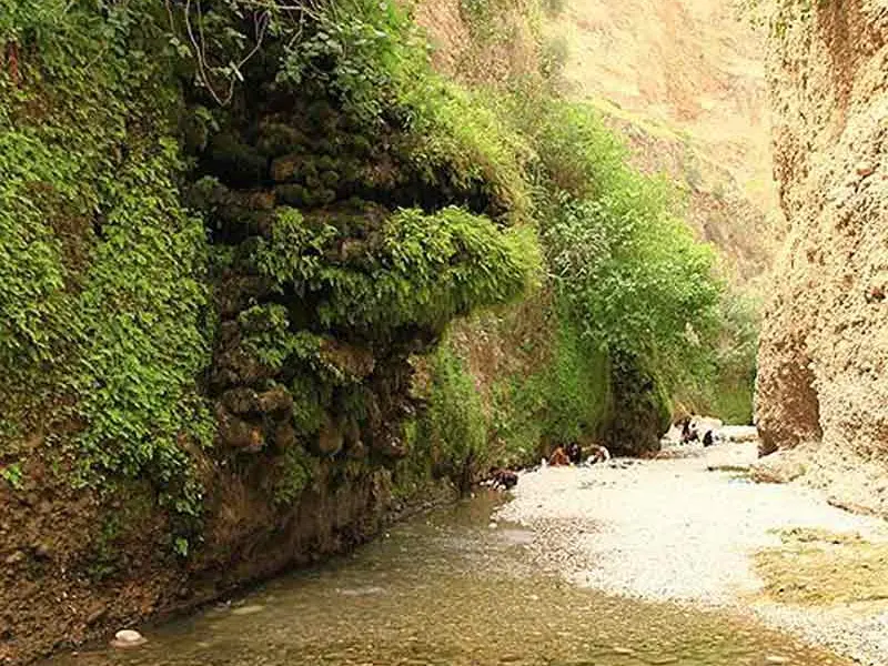 دره انار گتوند - تصویر 7