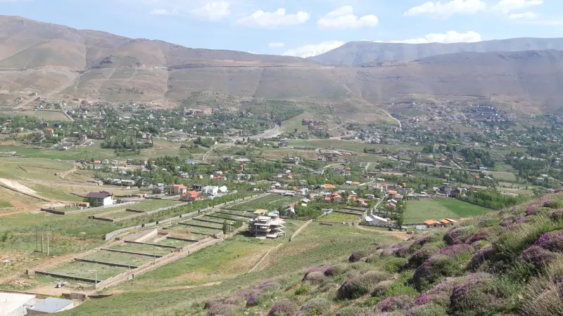 دشت مشا - تصویر 1
