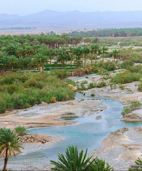 منطقه حفاظت‌شده گاندو، سیستان وبلوچستان