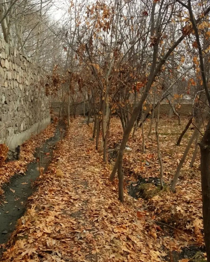 روستای خادر - تصویر 1