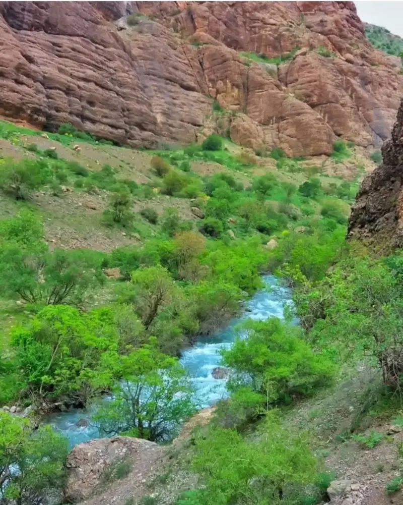 روستای تپه‌تی - تصویر 5