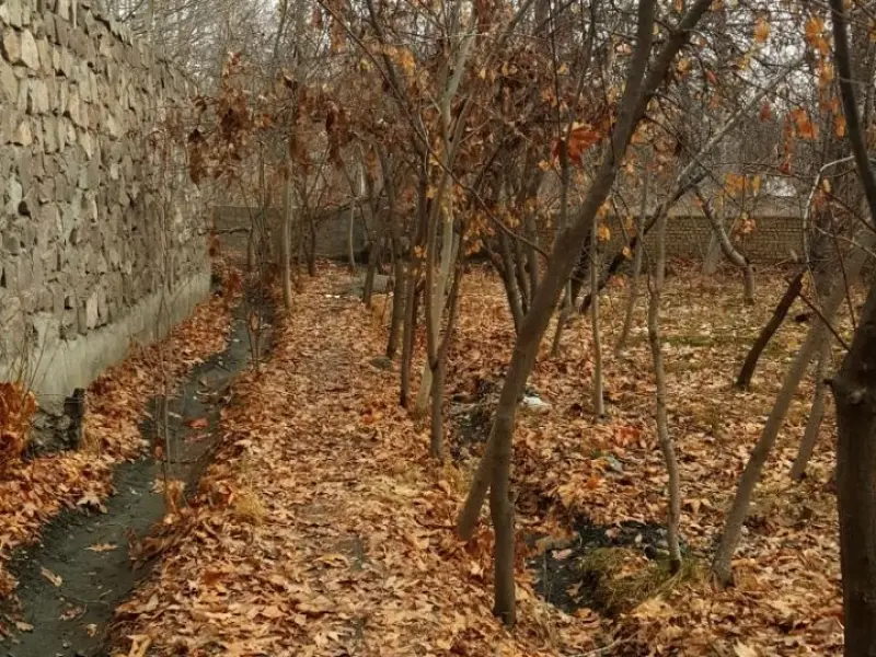 روستای خادر - تصویر 1