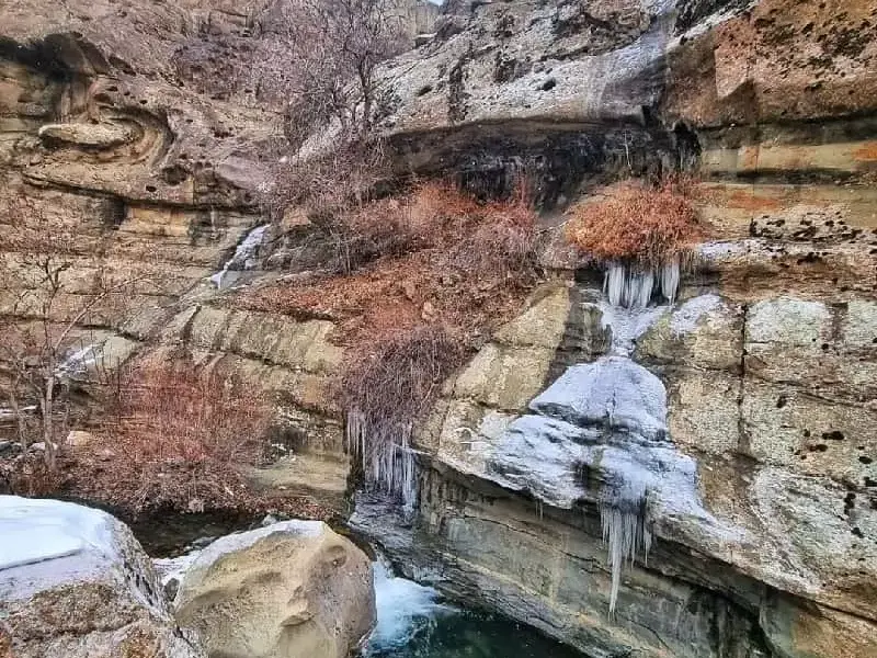 چال ماهی تهران - تصویر 1
