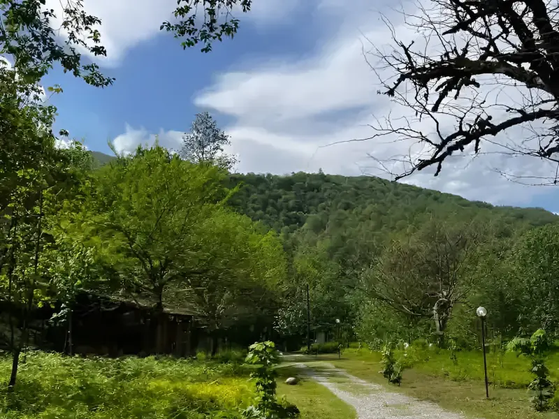 پارک جنگلی چالدره