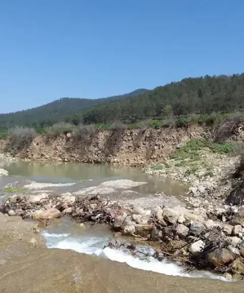 چشمه نیلبرگ، گلستان